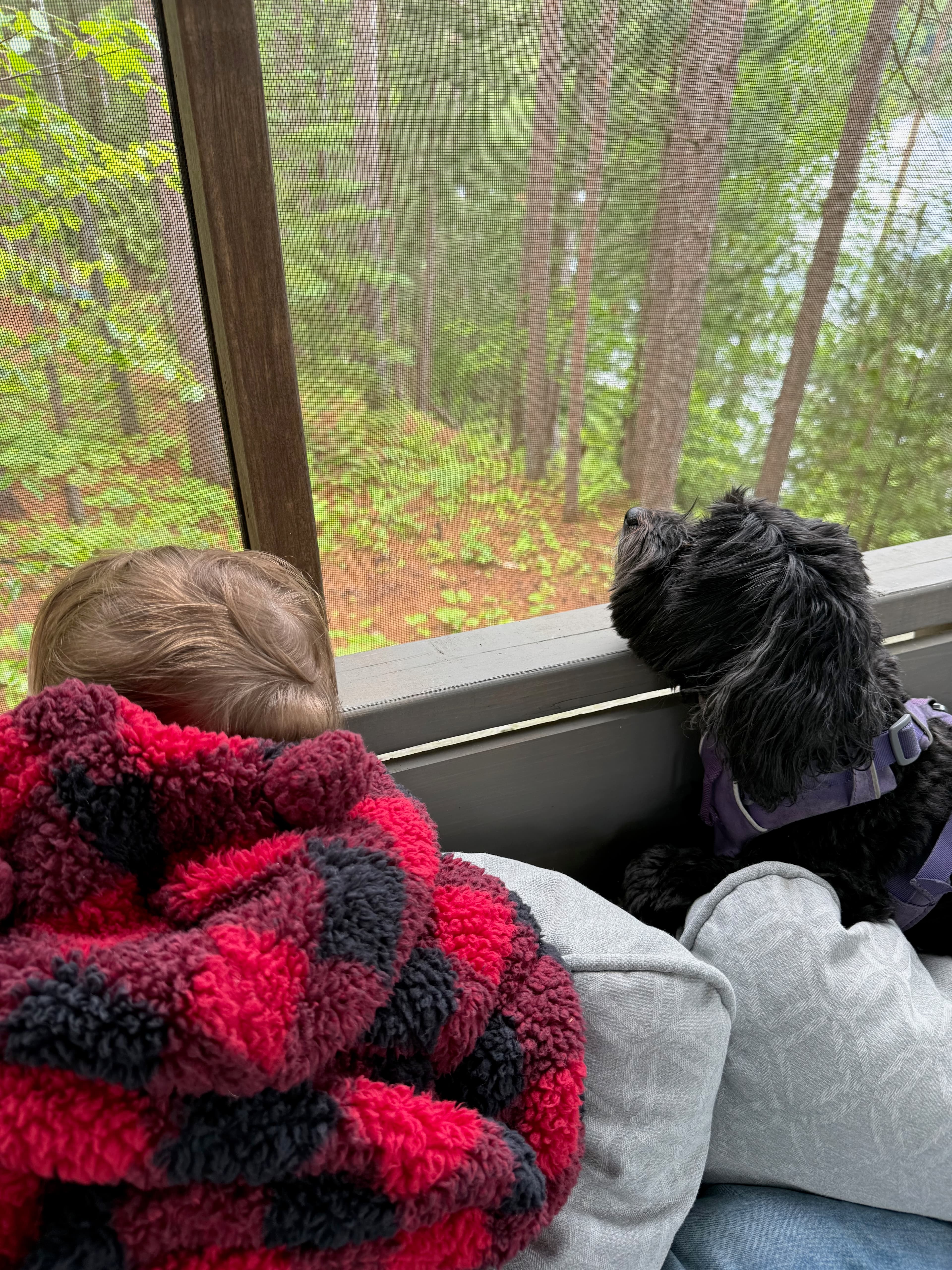 An original candid cottage and lake moment from the family sequence